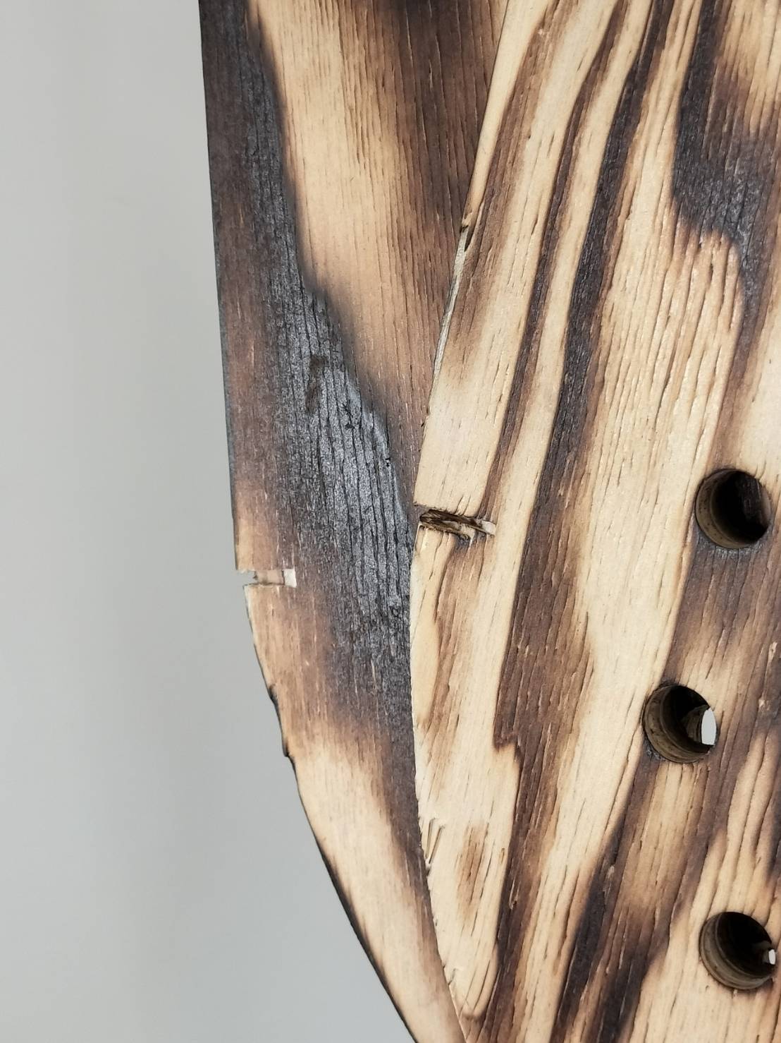 ビカクシダ 仕立て用板 エンブレム型 大