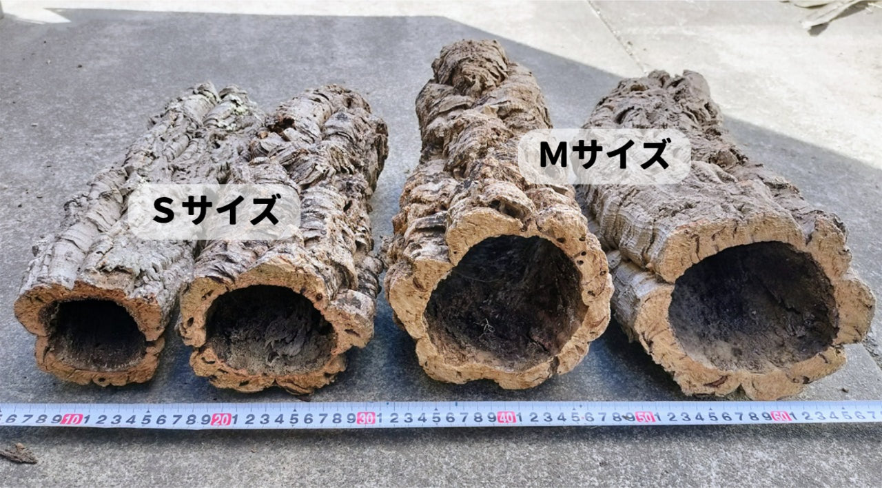 パイプコルク