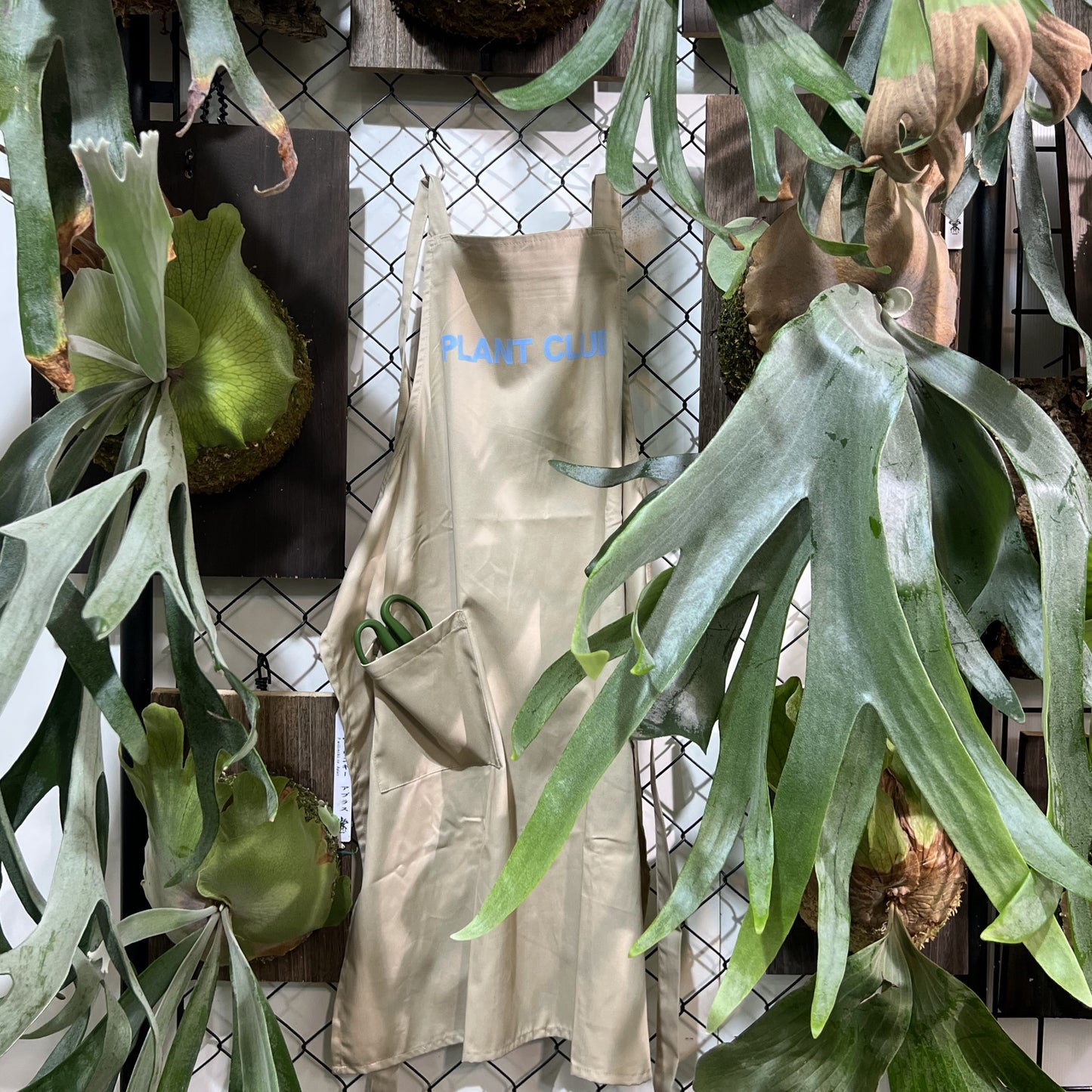 PLANTCLUB オリジナルエプロン