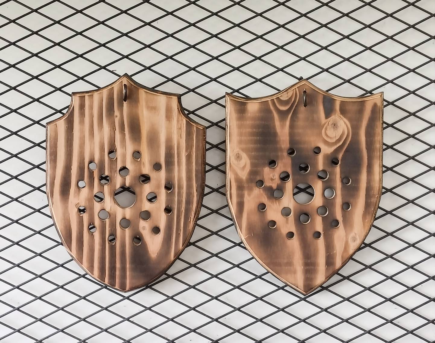 ビカクシダ　仕立て用板　エンブレム型　大