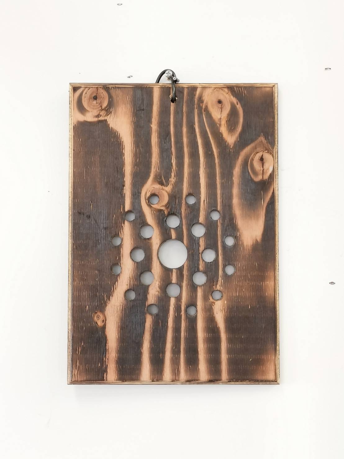 ビカクシダ　仕立て用板　四角　大