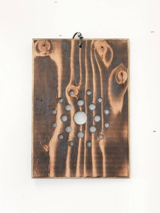 ビカクシダ　仕立て用板　四角　大