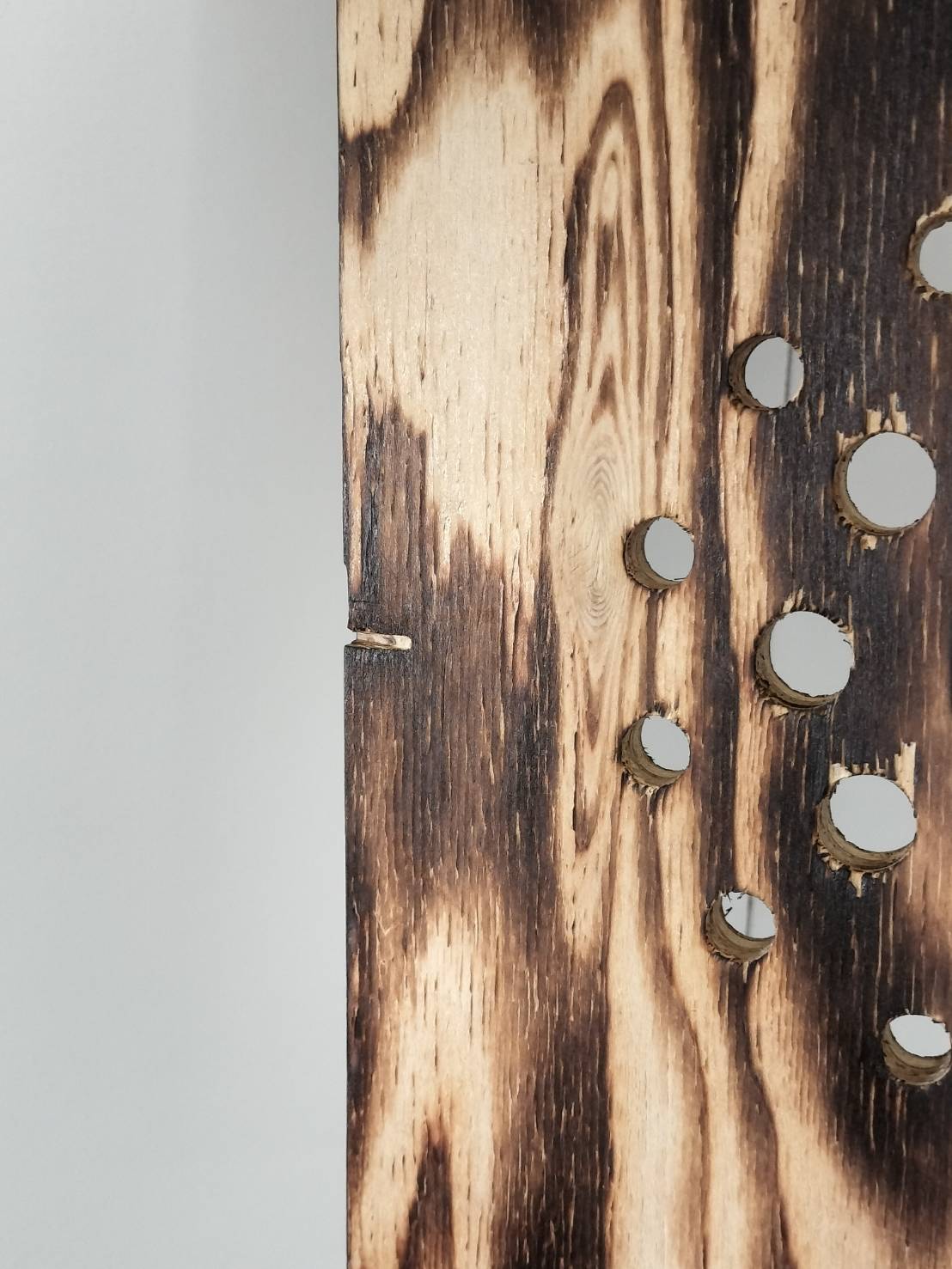 ビカクシダ　仕立て用板　四角　大