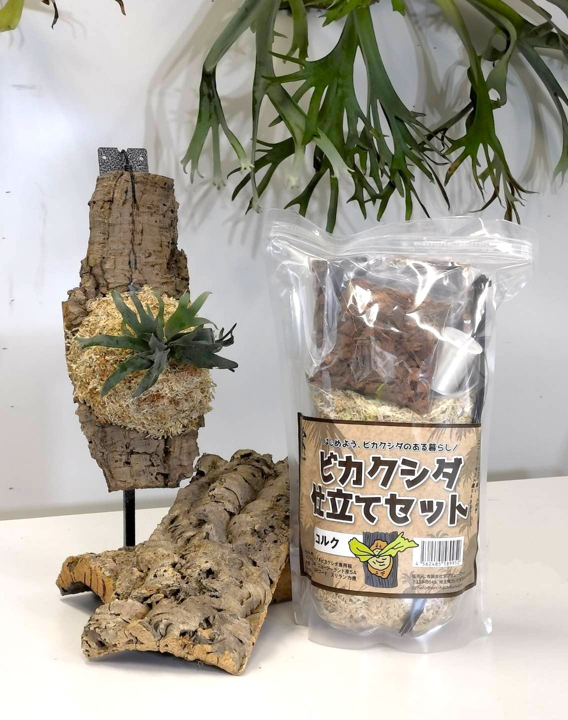 仕立てセット　コルク