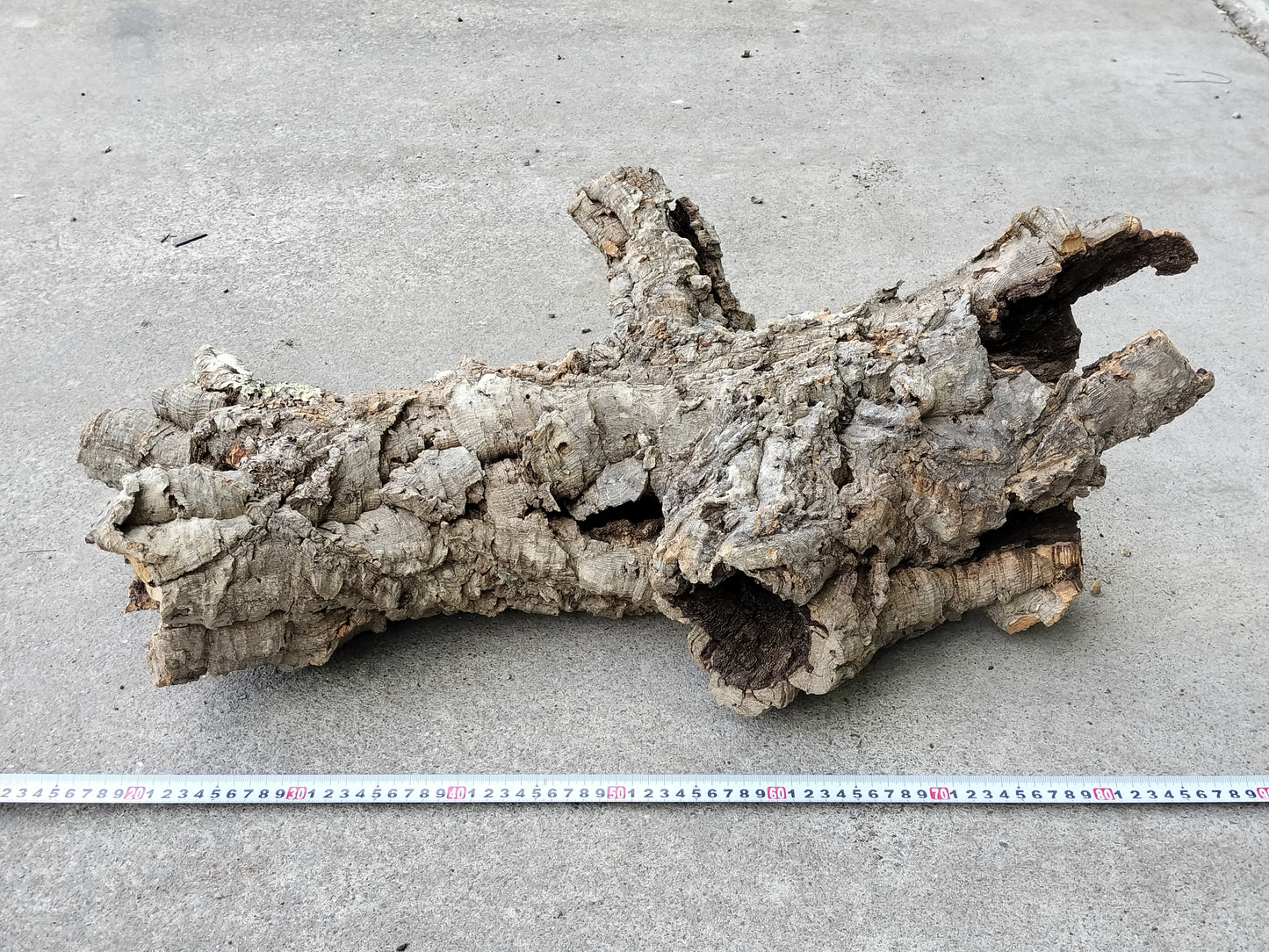 セレクトコルクD