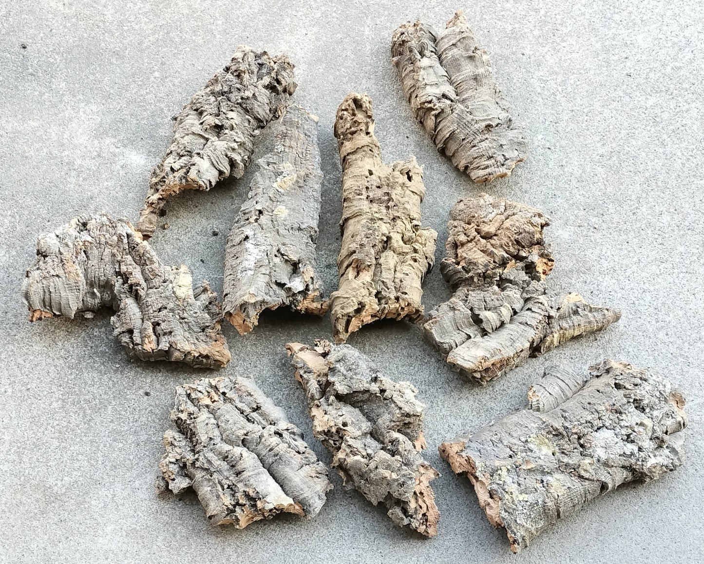 コルク　アソート　大　３個セット