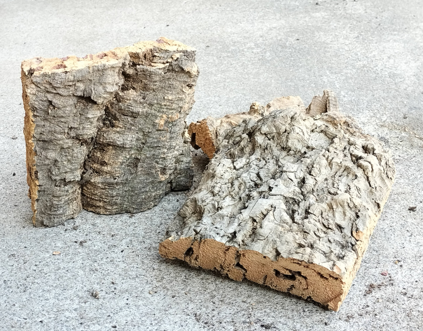 バークコルク　S