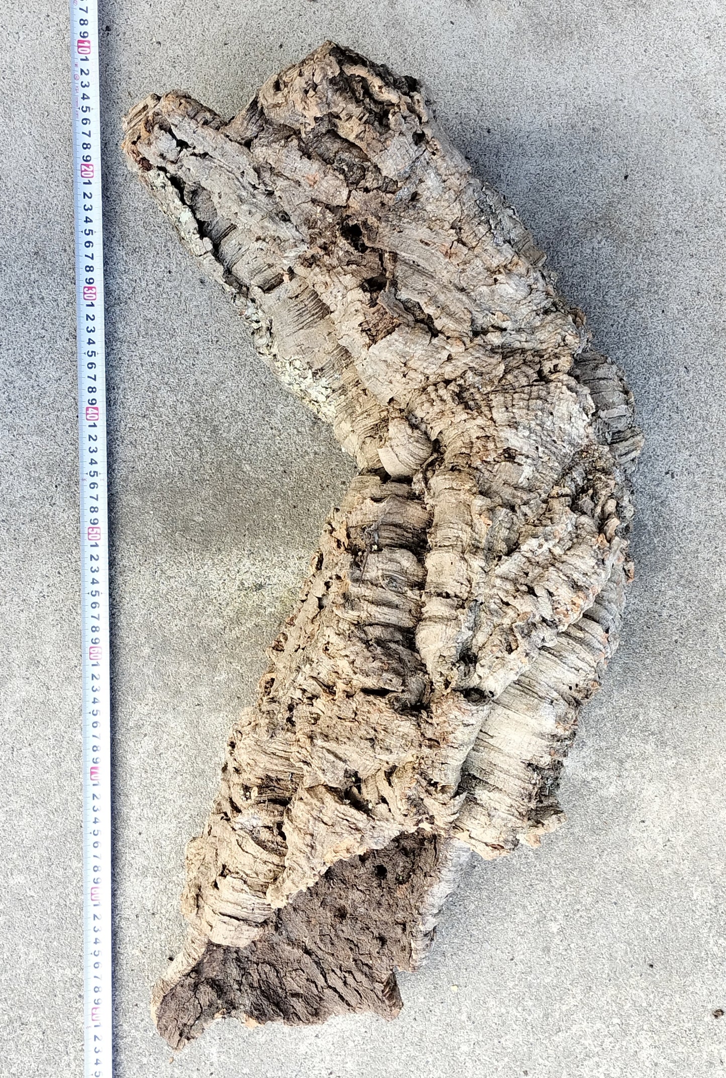 セレクトコルクB