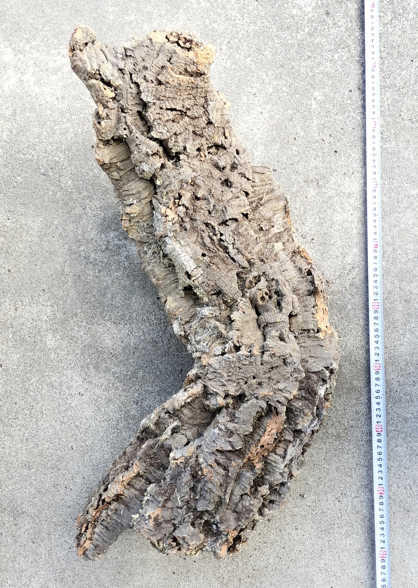 セレクトコルクB