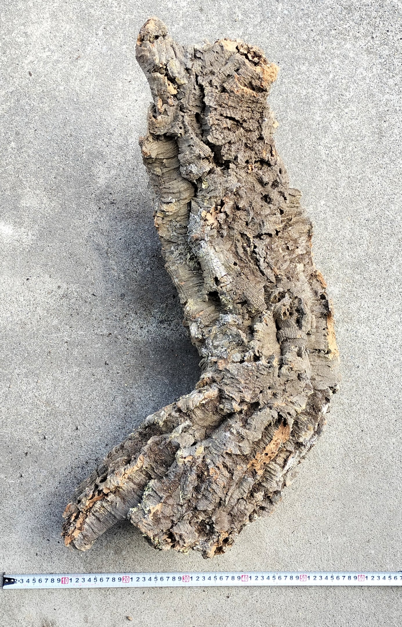 セレクトコルクB