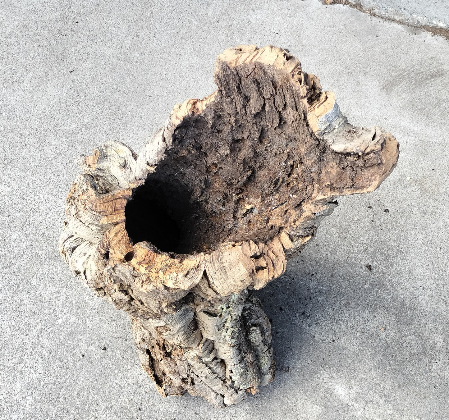 セレクトコルクB