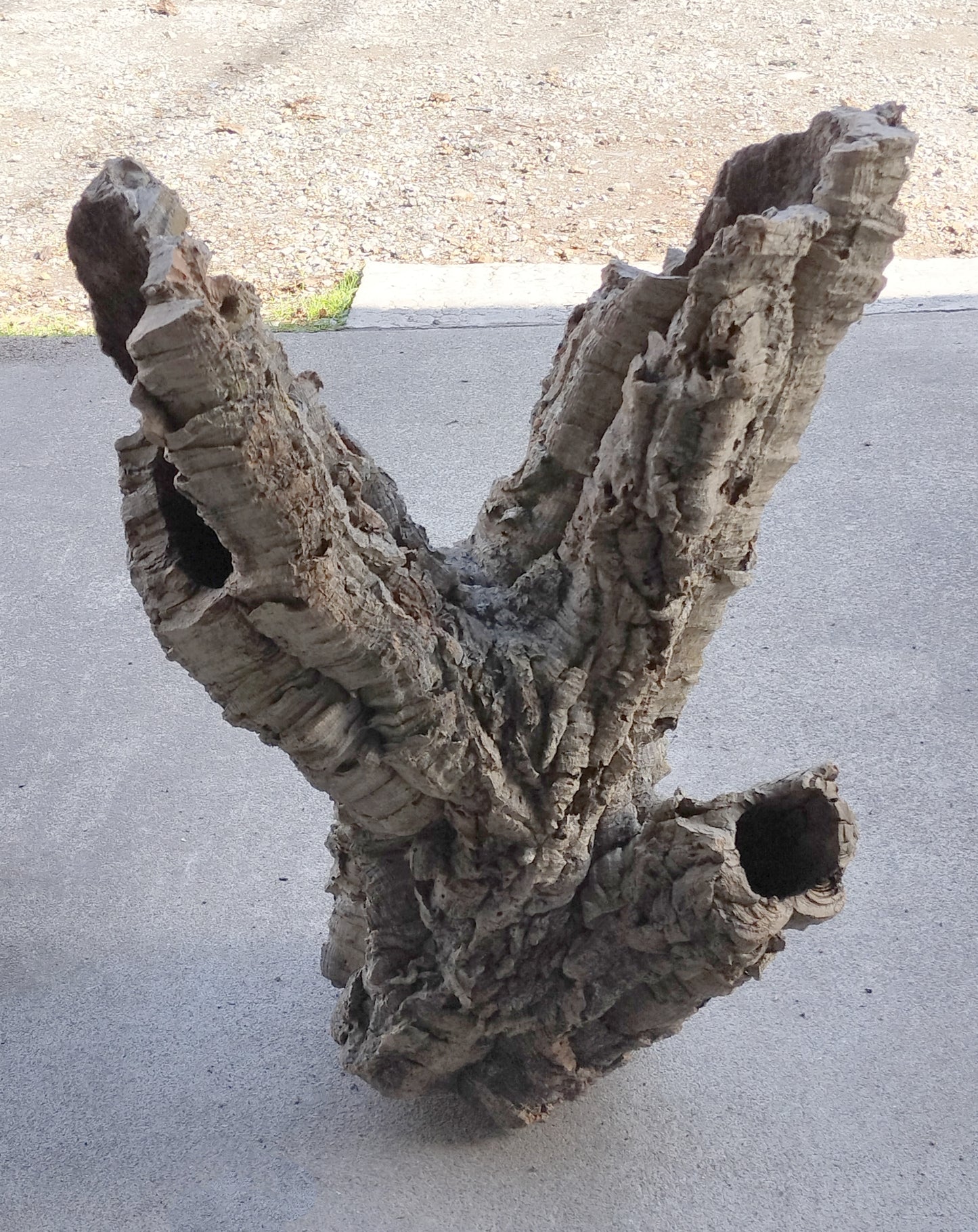 セレクトコルクA