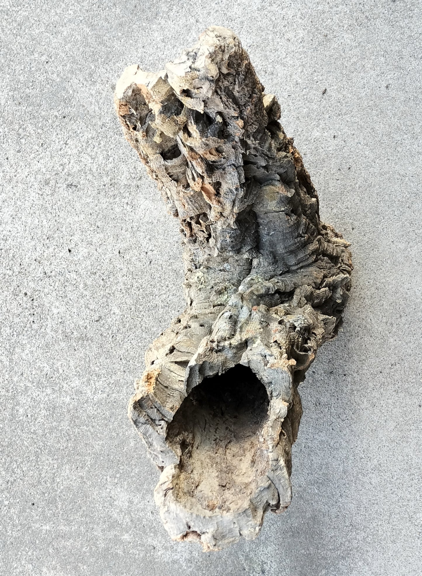 セレクトコルクA