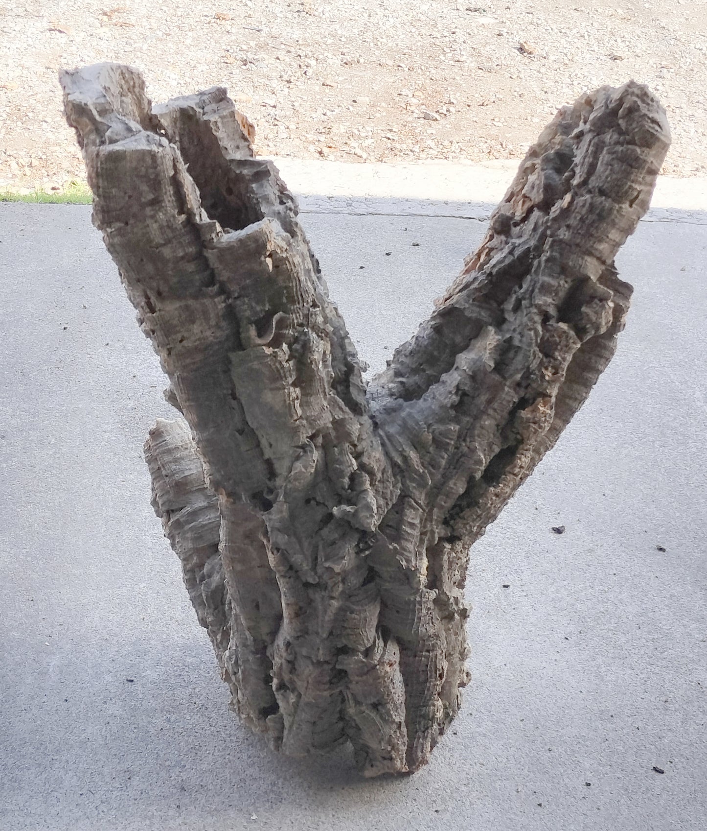 セレクトコルクA