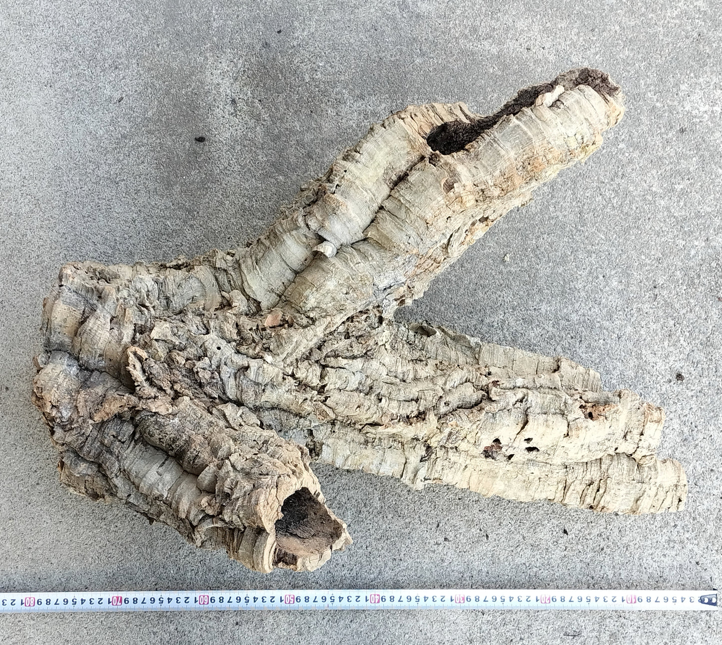 セレクトコルクA