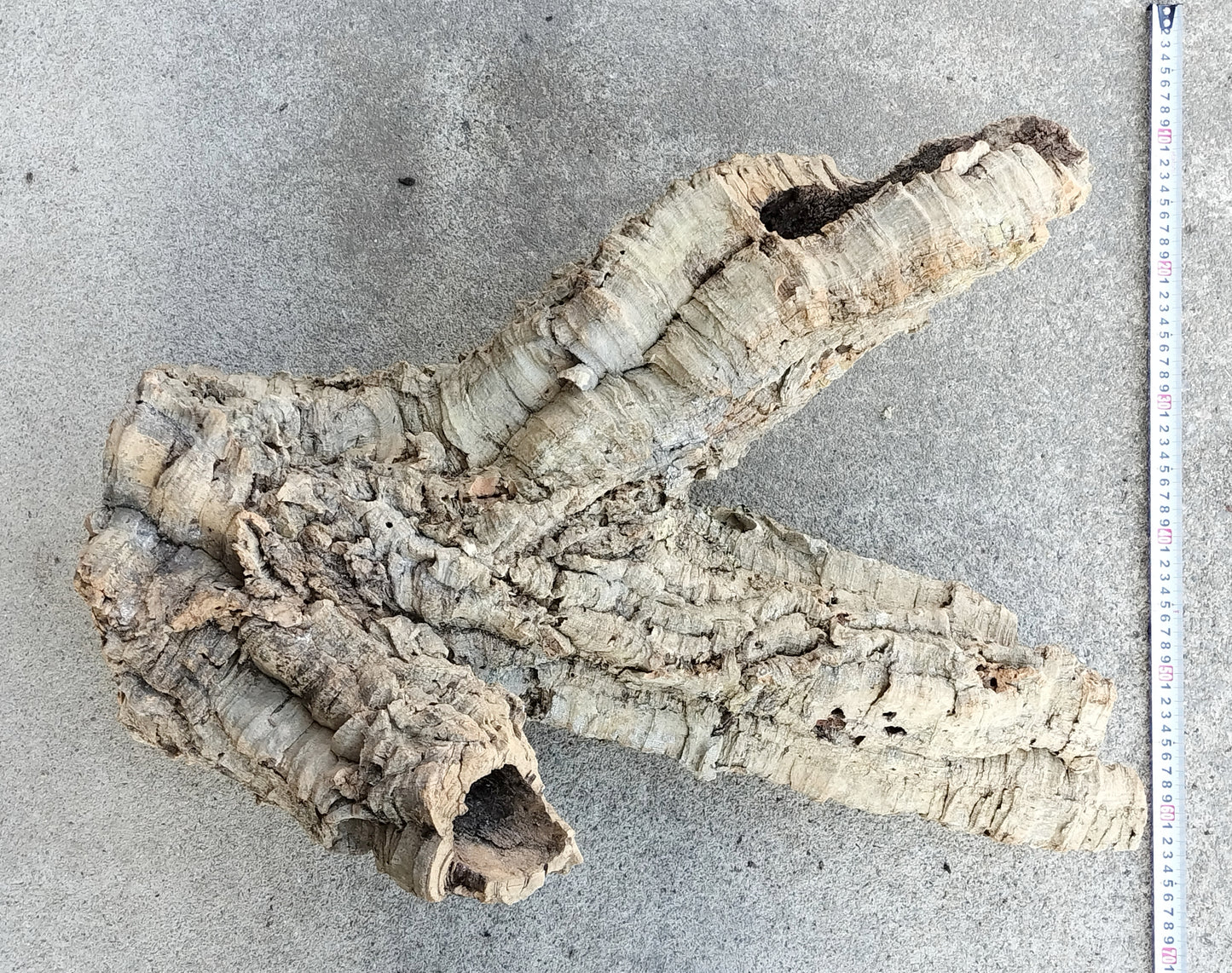 セレクトコルクA