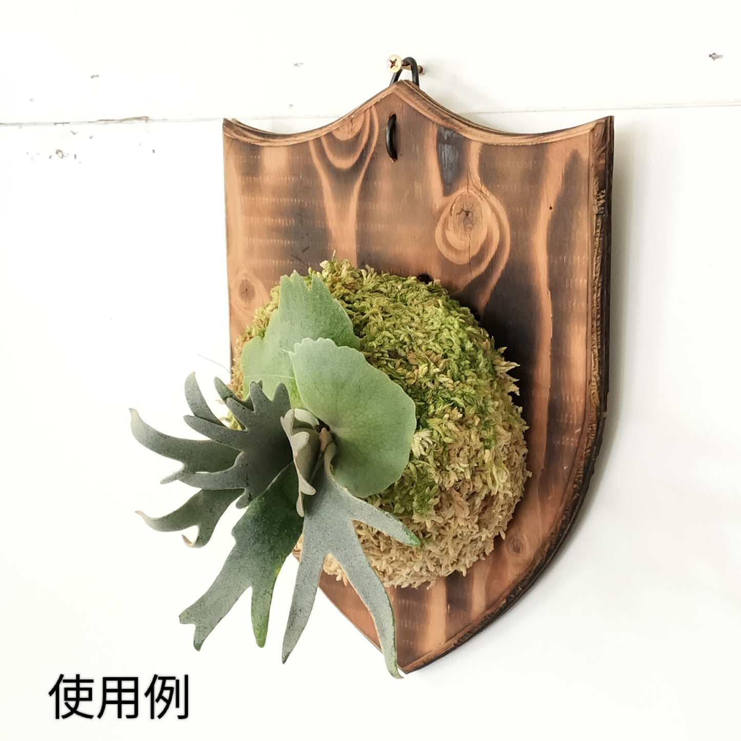 仕立てセット　エンブレム型　大