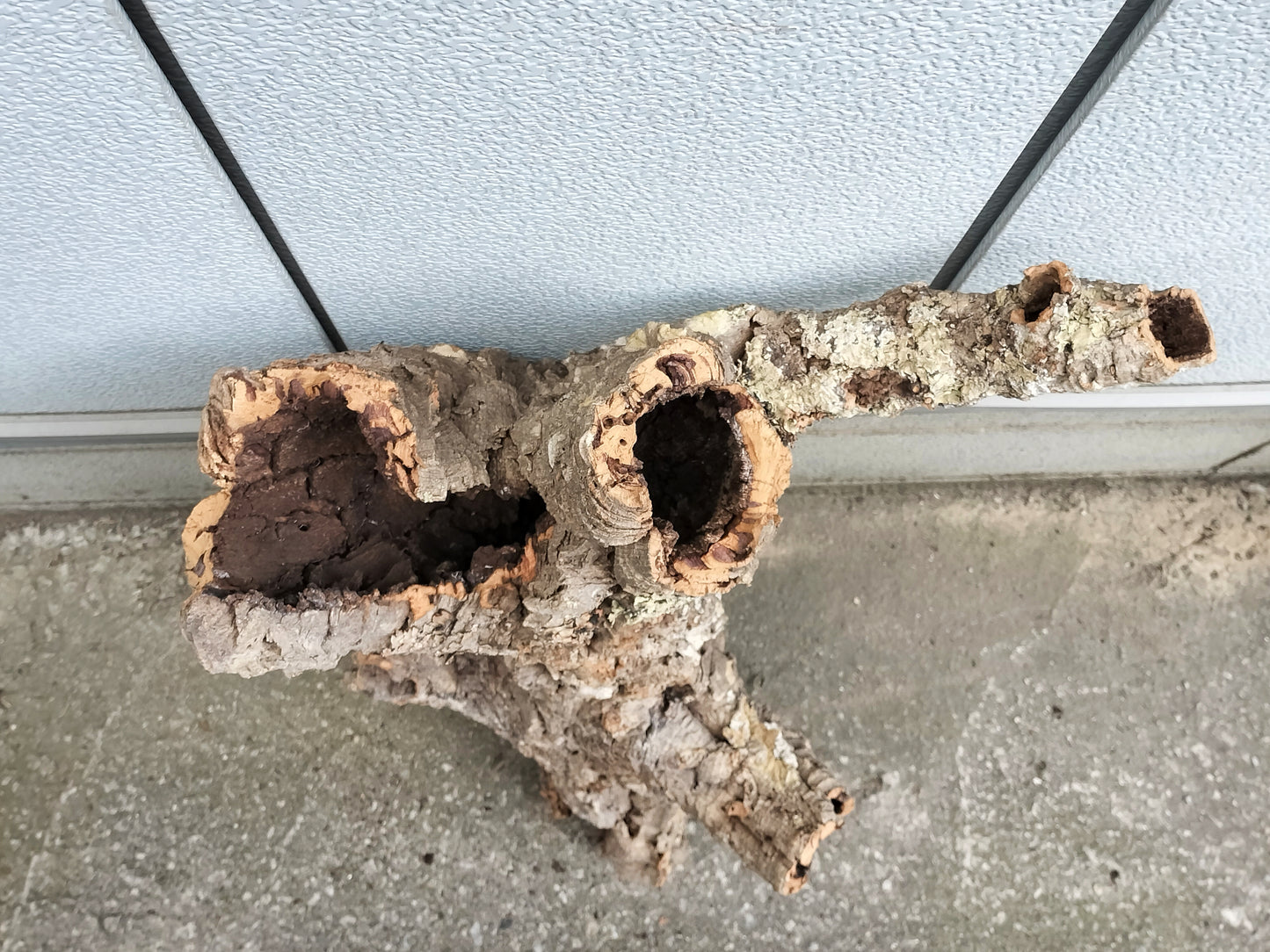 セレクトコルクD