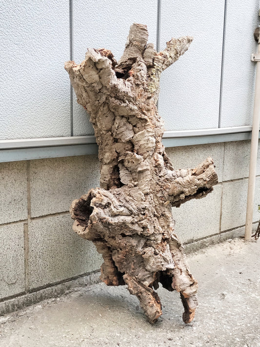 セレクトコルクD