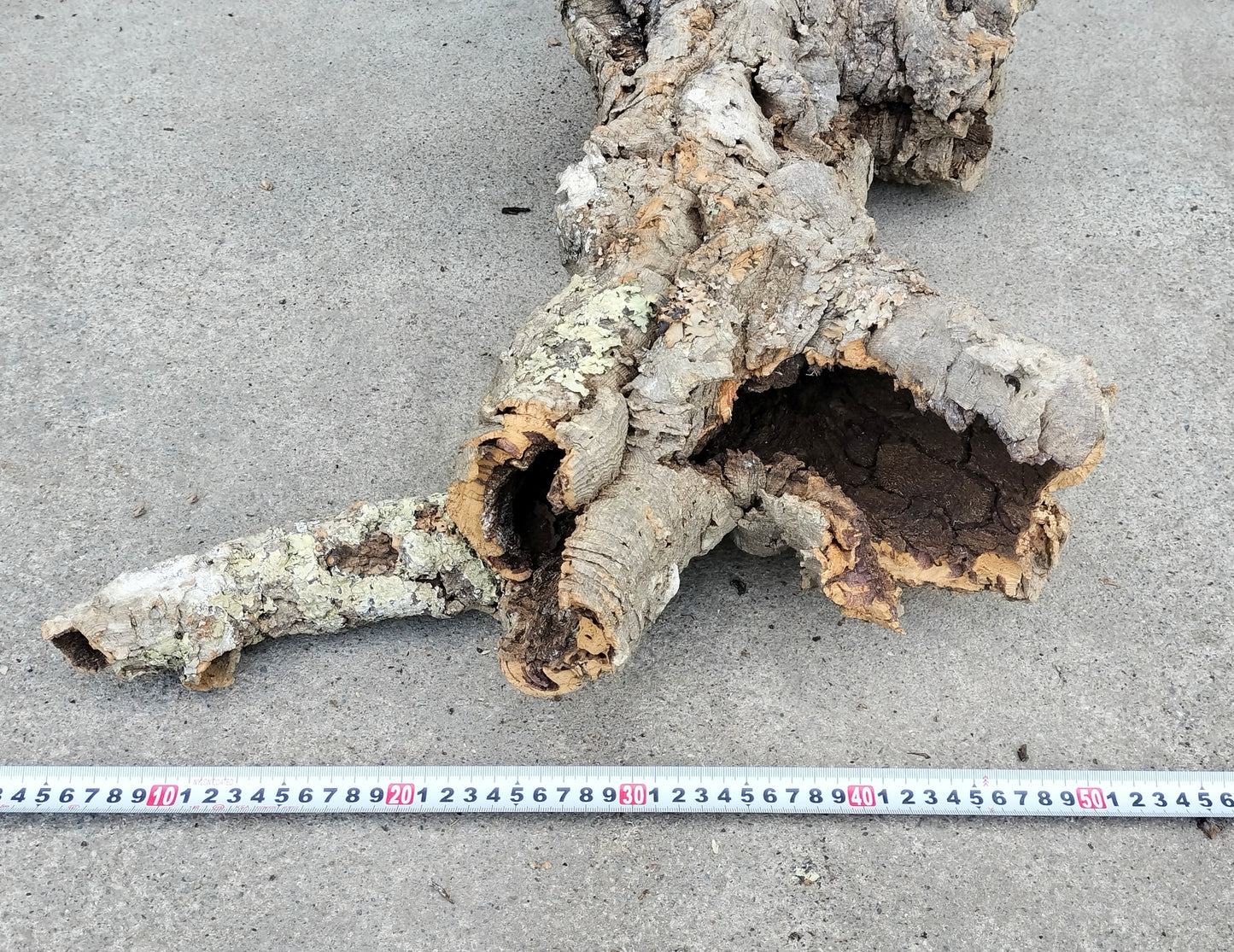 セレクトコルクD