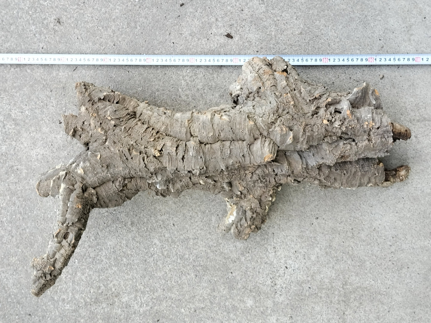 セレクトコルクD