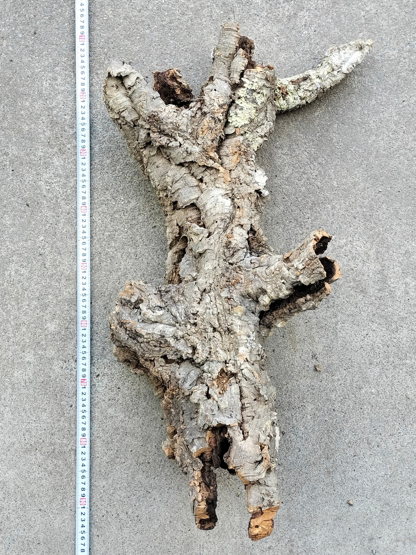 セレクトコルクD