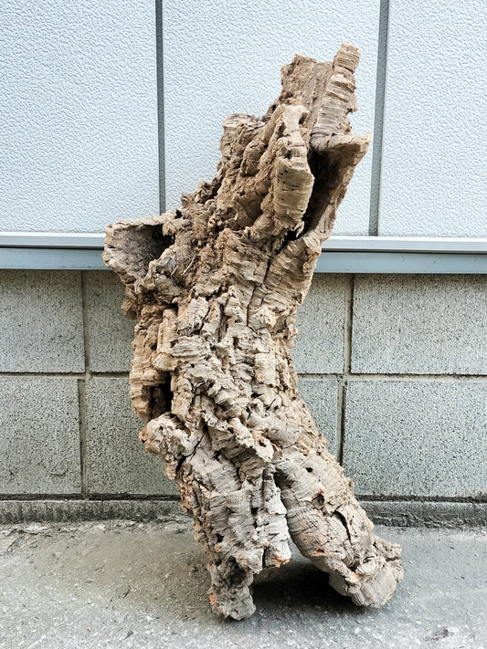 セレクトコルクE