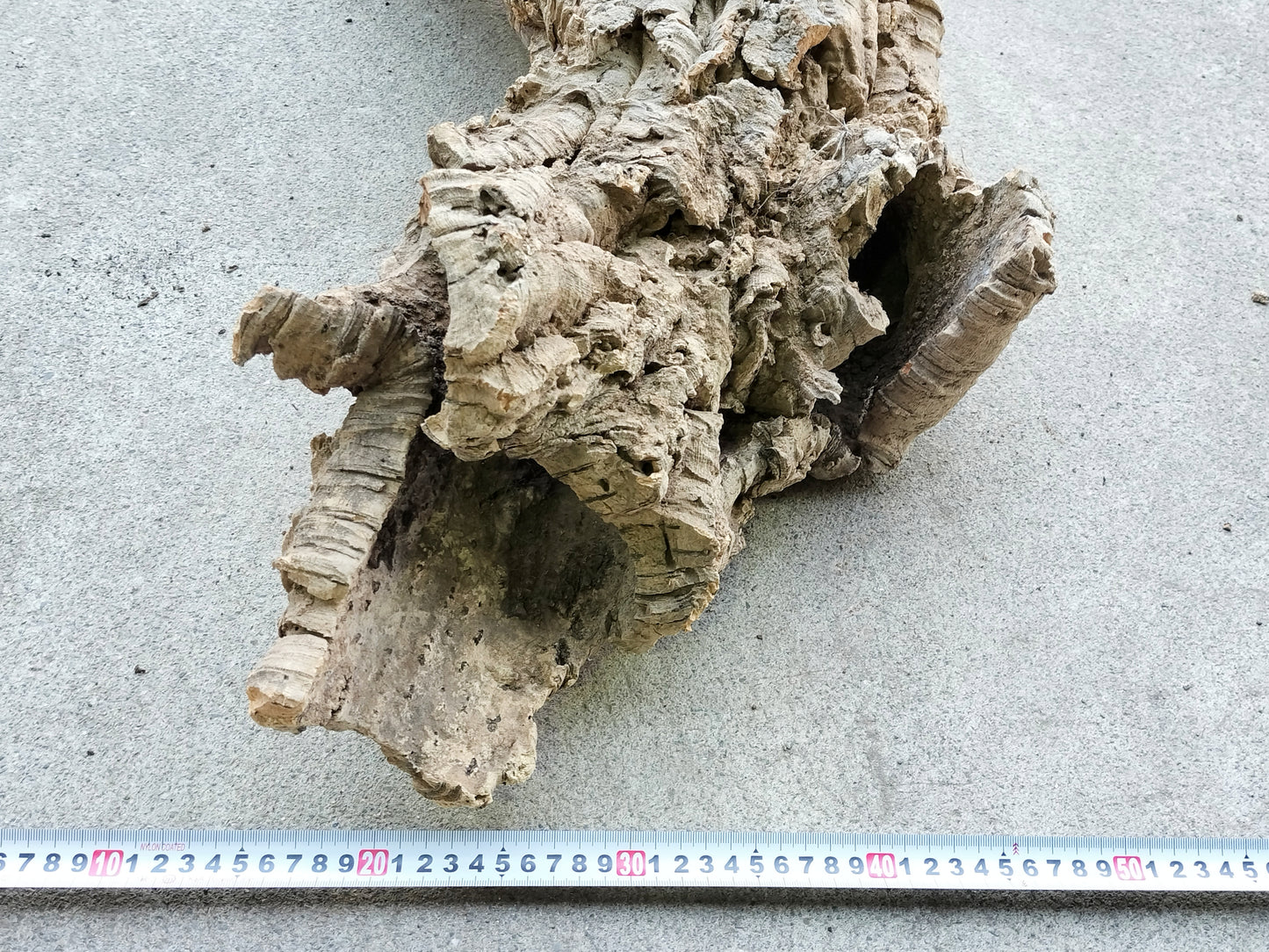 セレクトコルクE