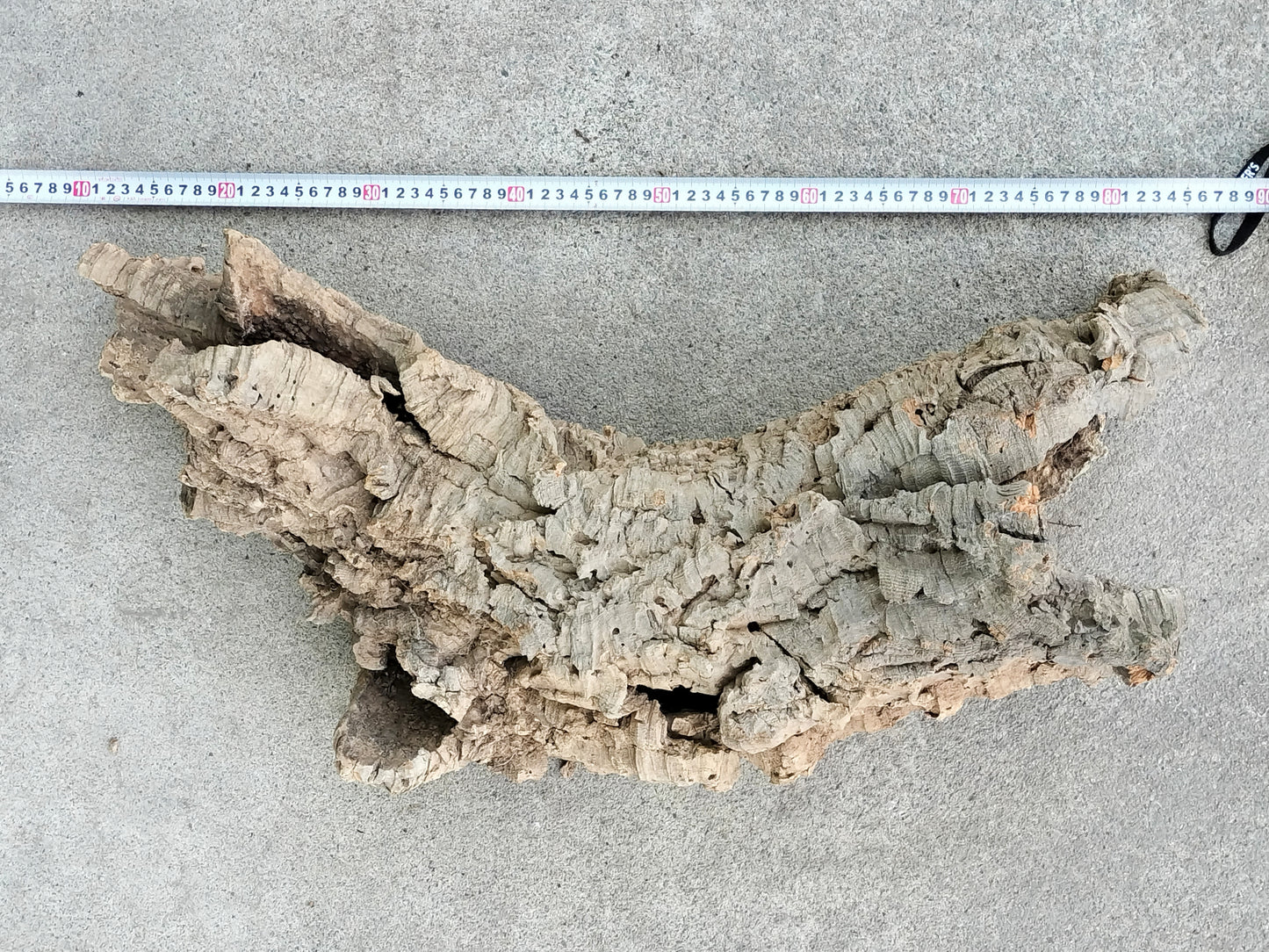 セレクトコルクE