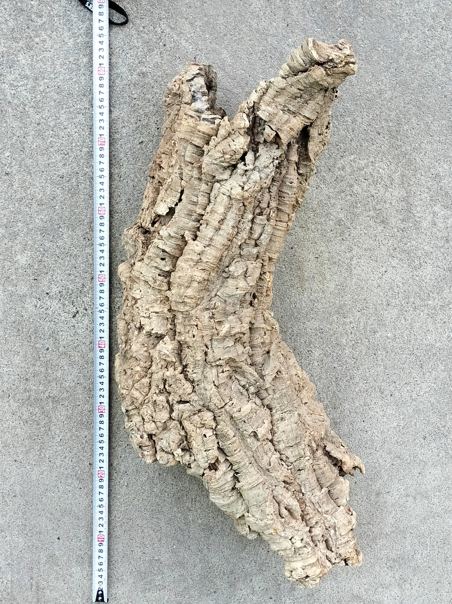 セレクトコルクE