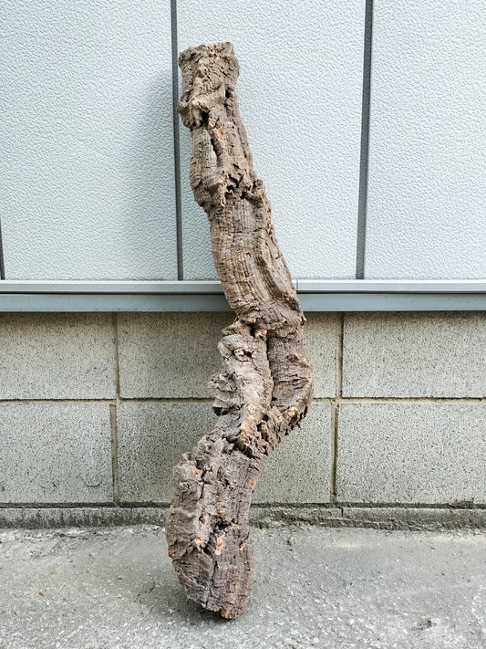 セレクトコルクC