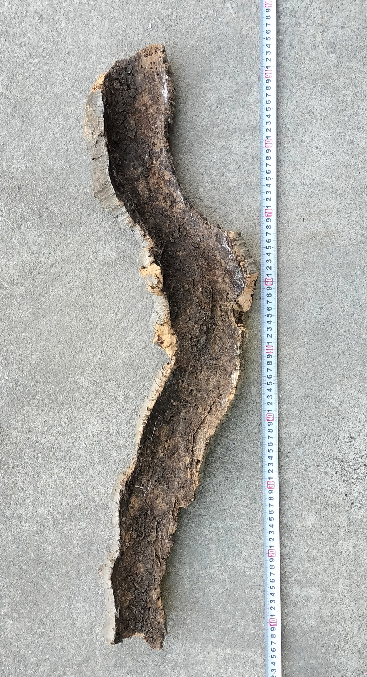 セレクトコルクC