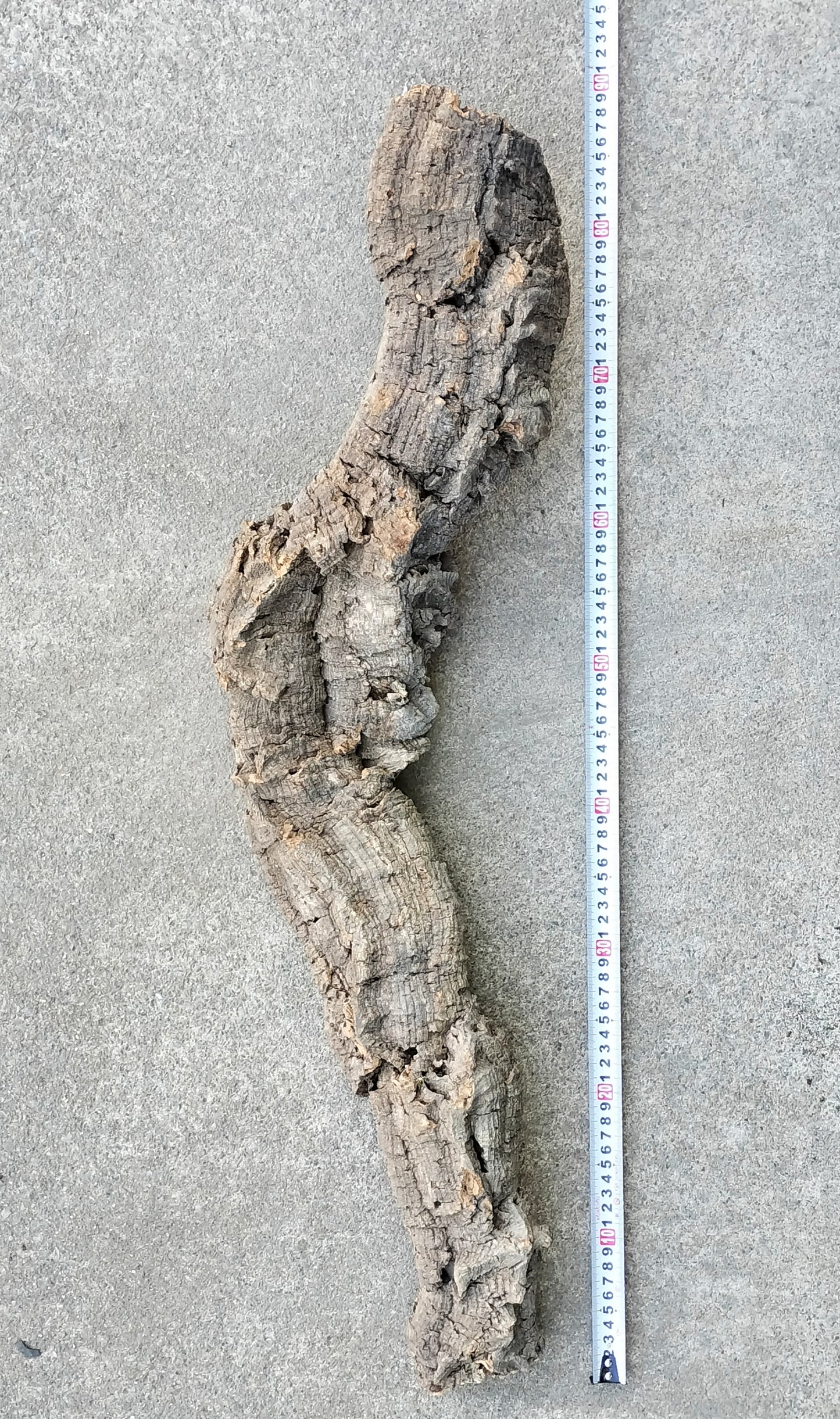 セレクトコルクC