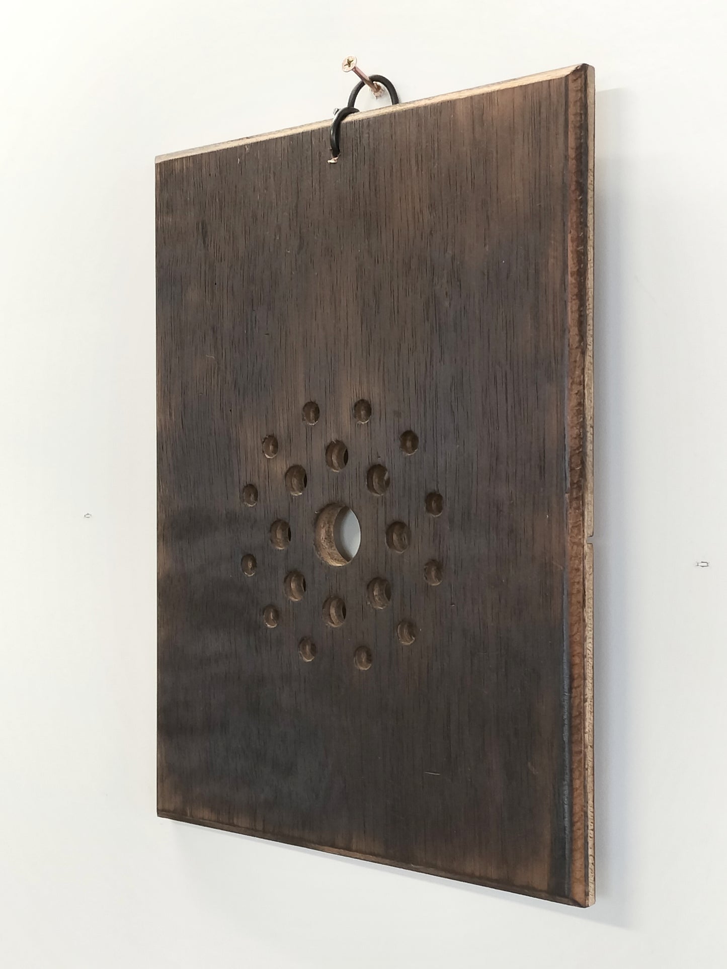 ビカクシダ　仕立て用板　四角　特大