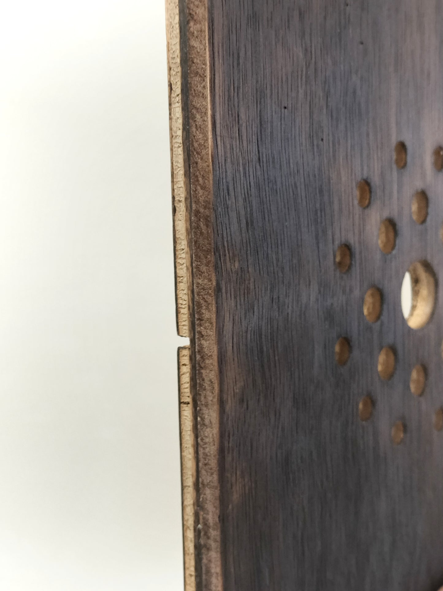 ビカクシダ　仕立て用板　四角　特大