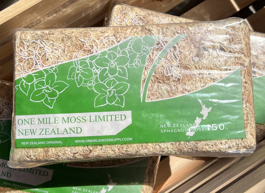 ニュージーランド産水苔 3A – PLANT CLUB